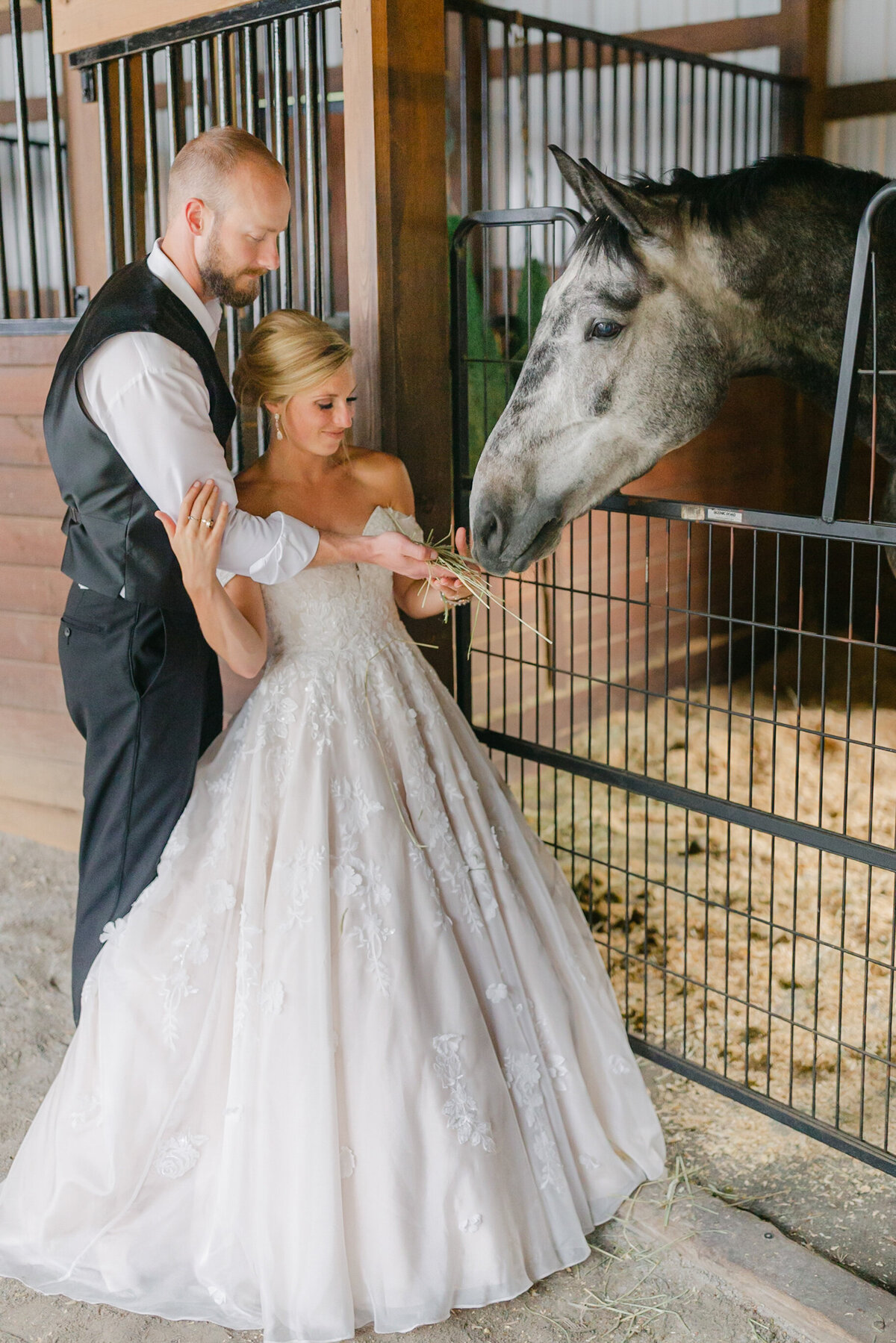 bride and groom feeding horse