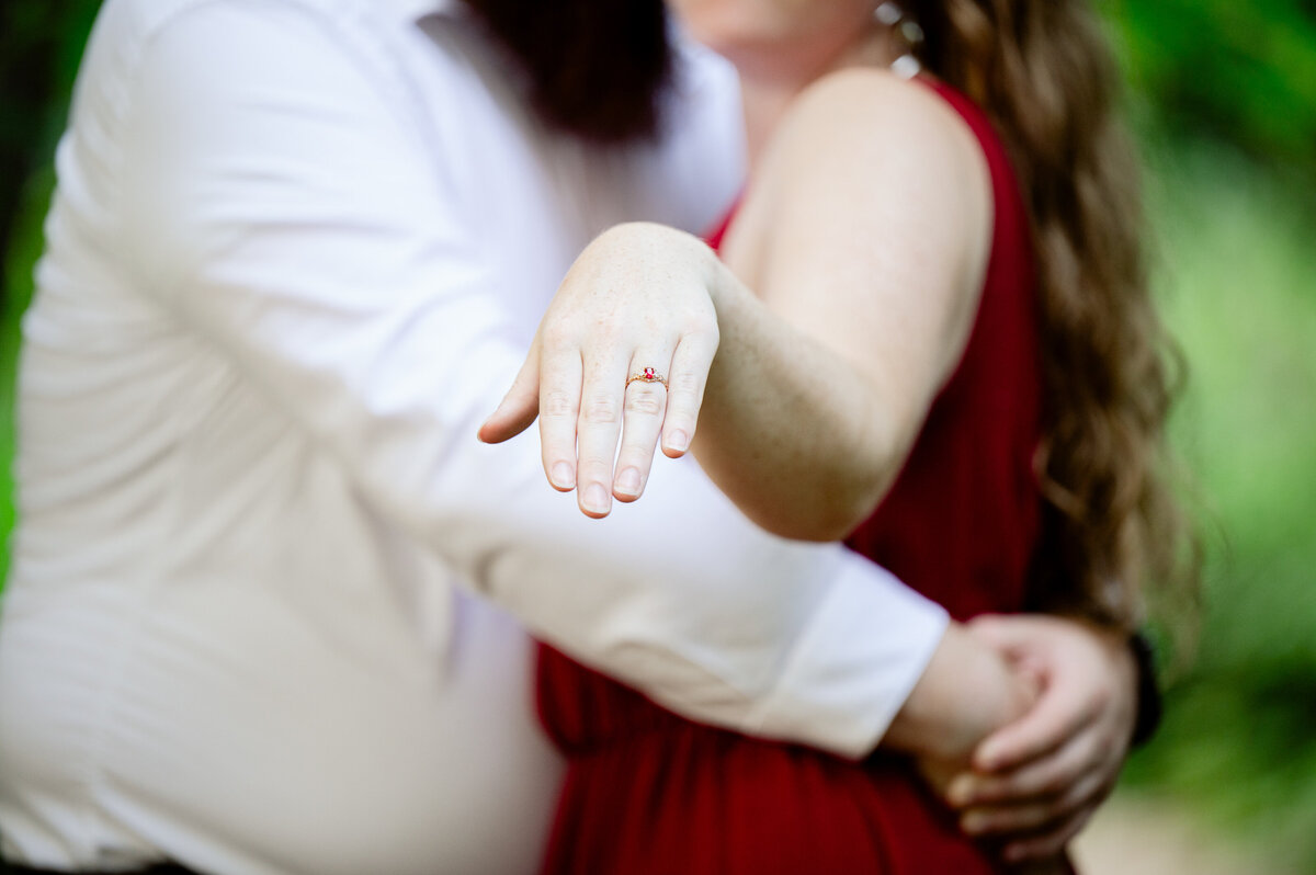 6249-Engagement Photography Nicole Hollenkamp St Cloud MN Central MN