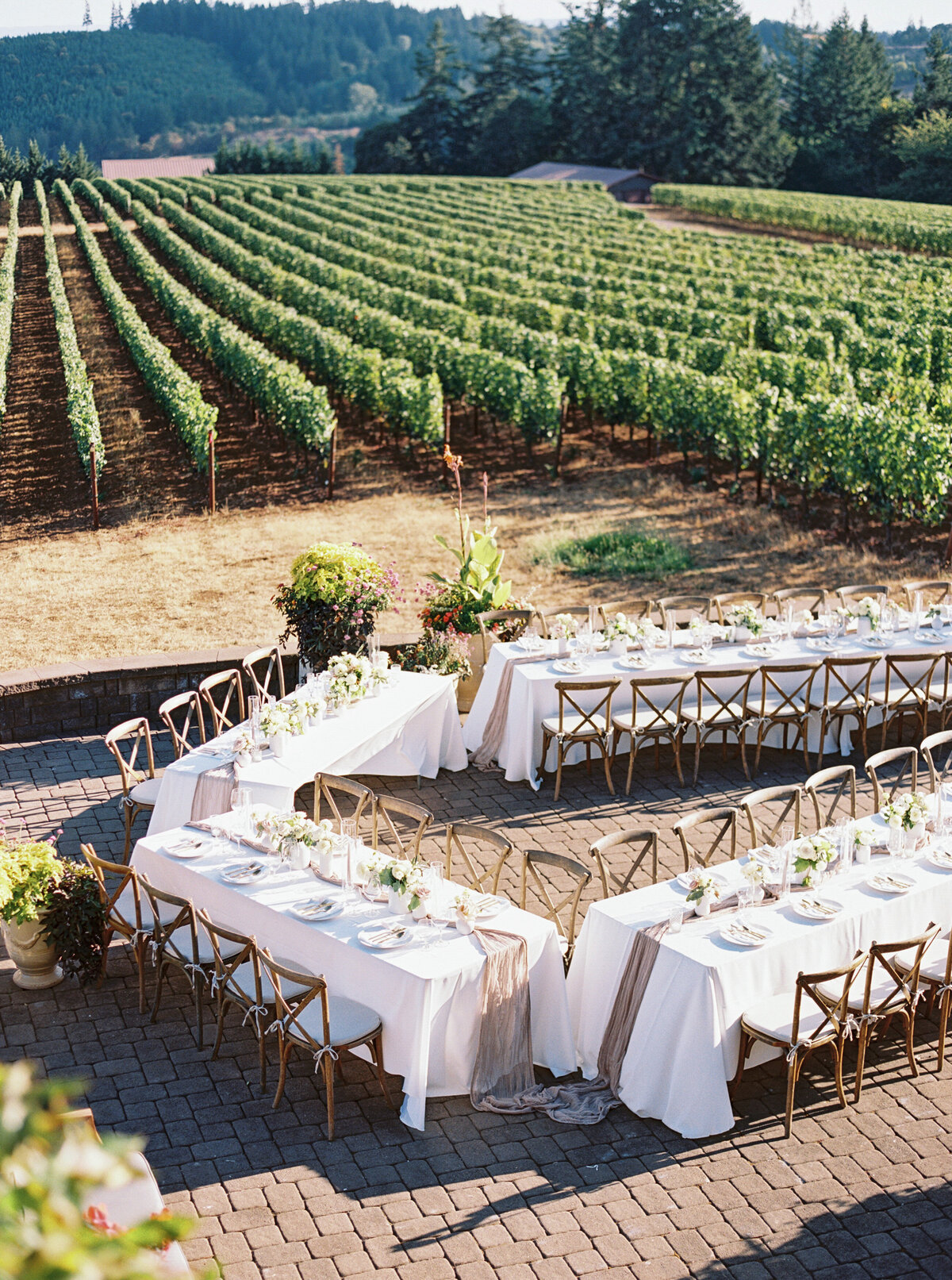 wedding-at-black-walnut-inn-and-vineyard-photography-by-the-tenneys-37