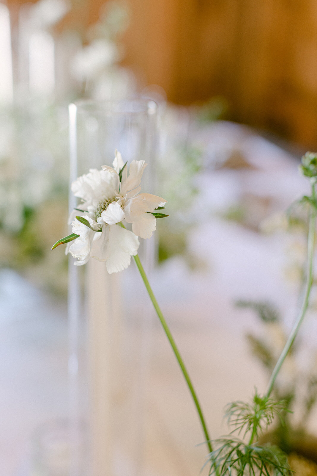 white-flower-wedding-reception-design