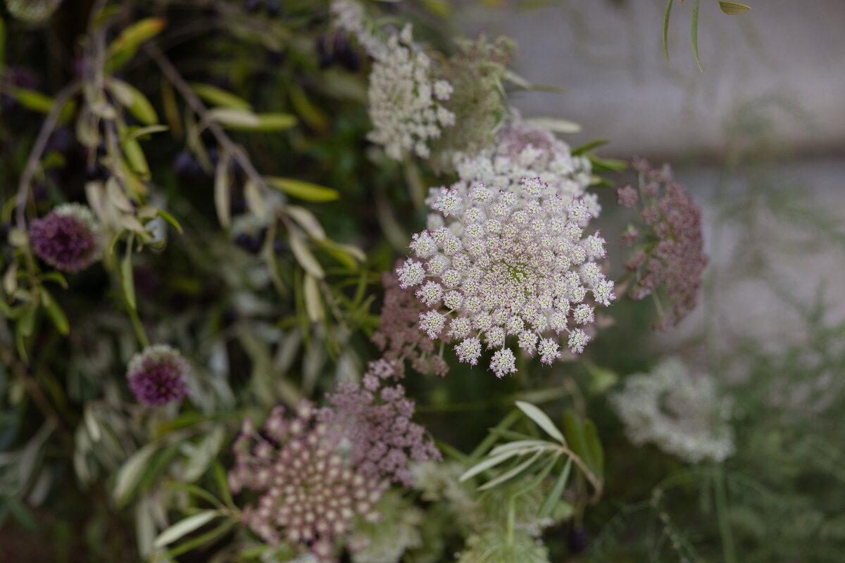 Mary-Lewis-Photography-Stonepine Estate-Wedding-2024-94808