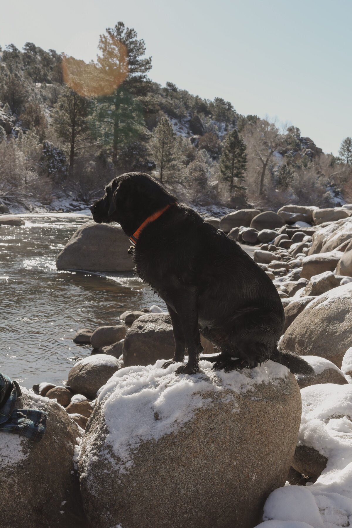 colorado-wedding-photographer0G3A4290