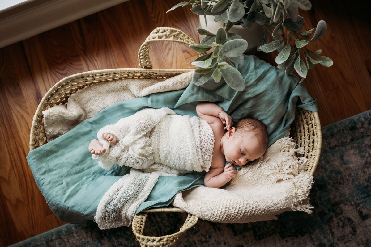 Proctor Lifestyle Newborn Session PRINT-23