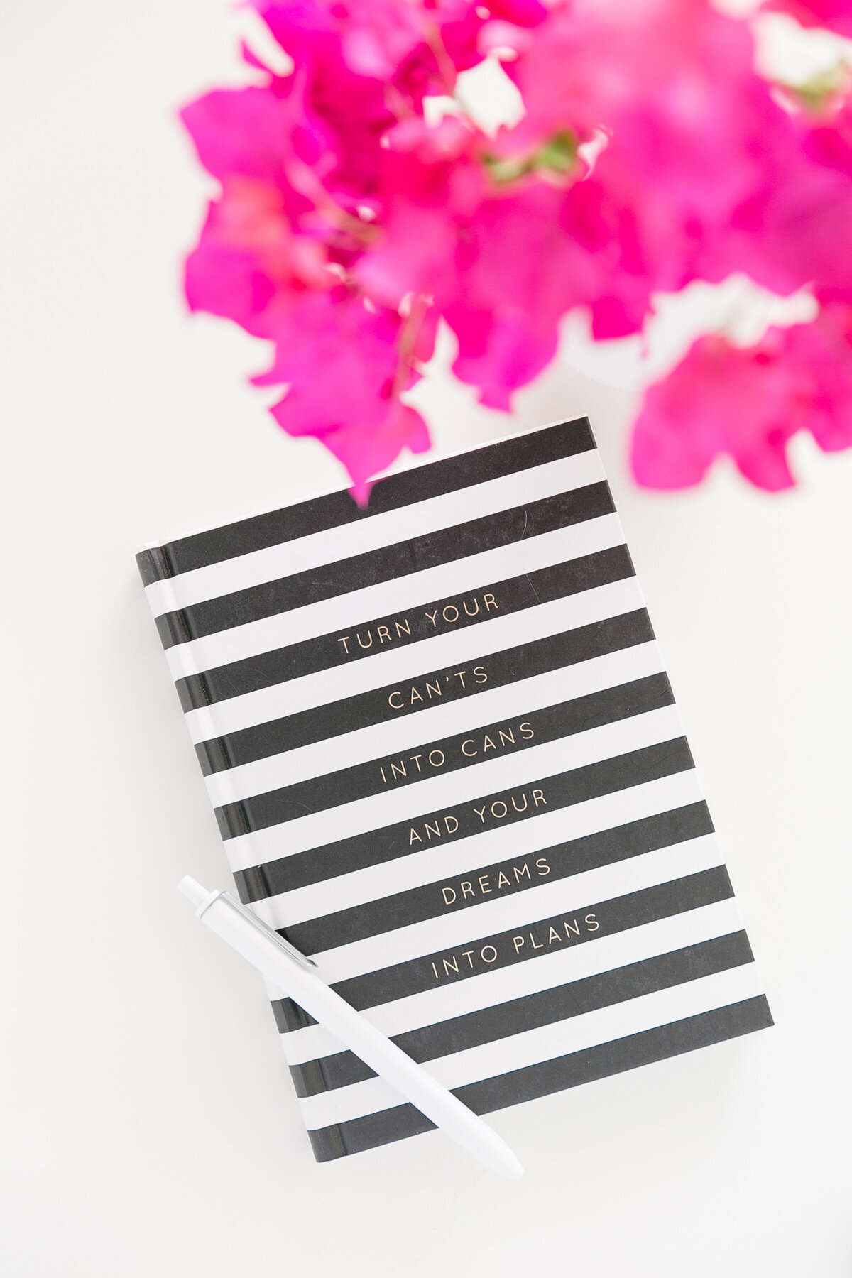 Chelsea P. stock images161