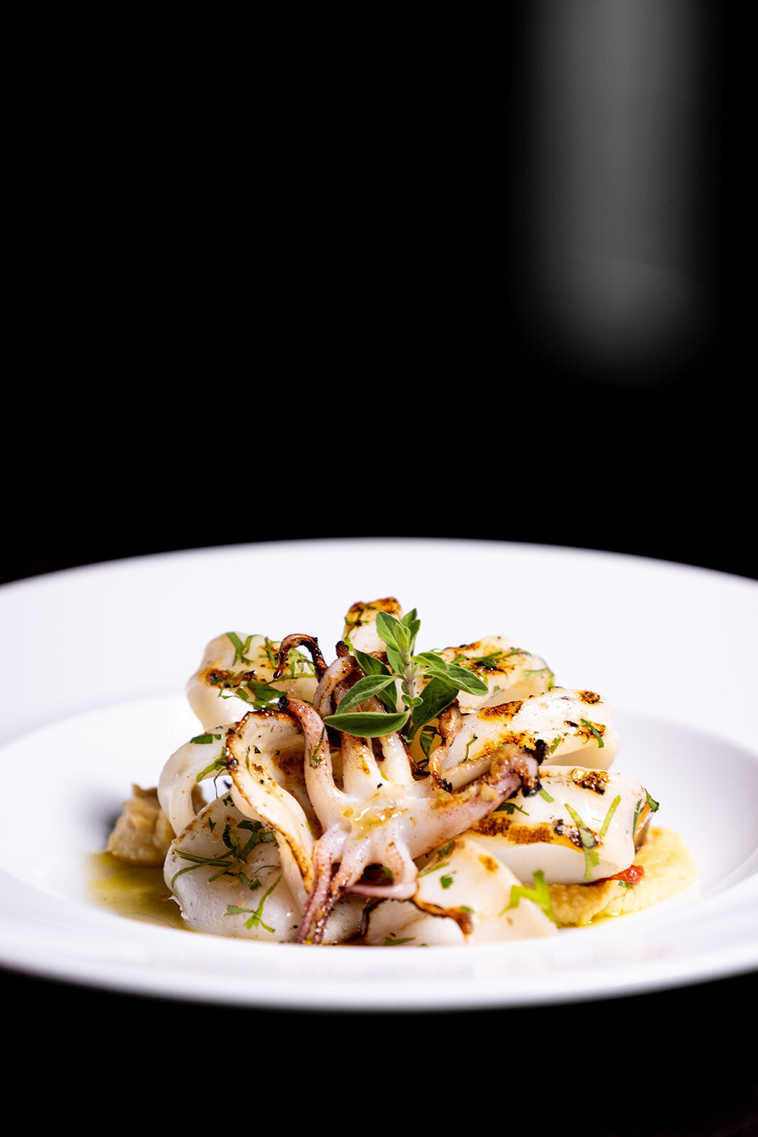 chiado_WESTEND_STUDIO-0014