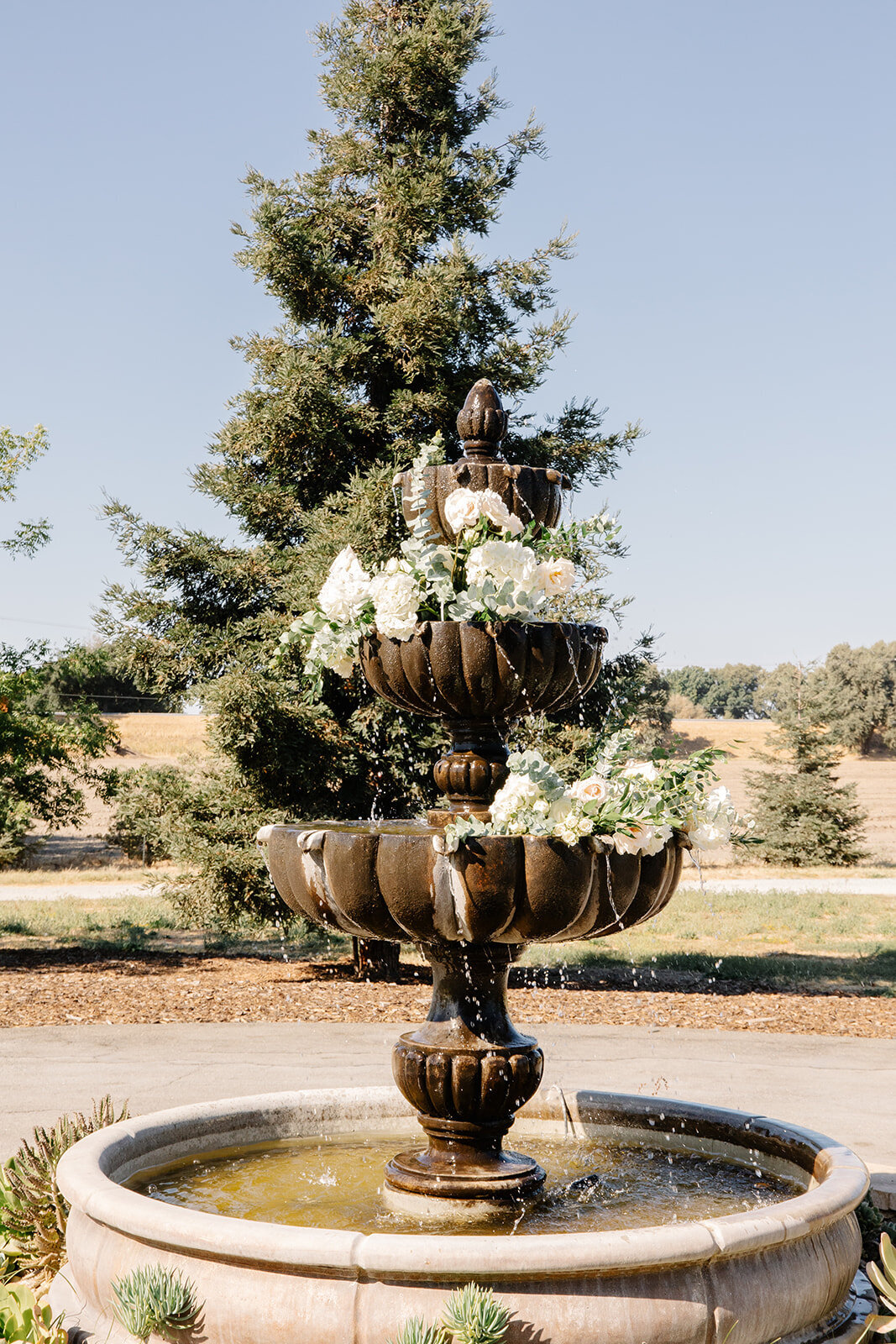 sacramento wedding planner 4