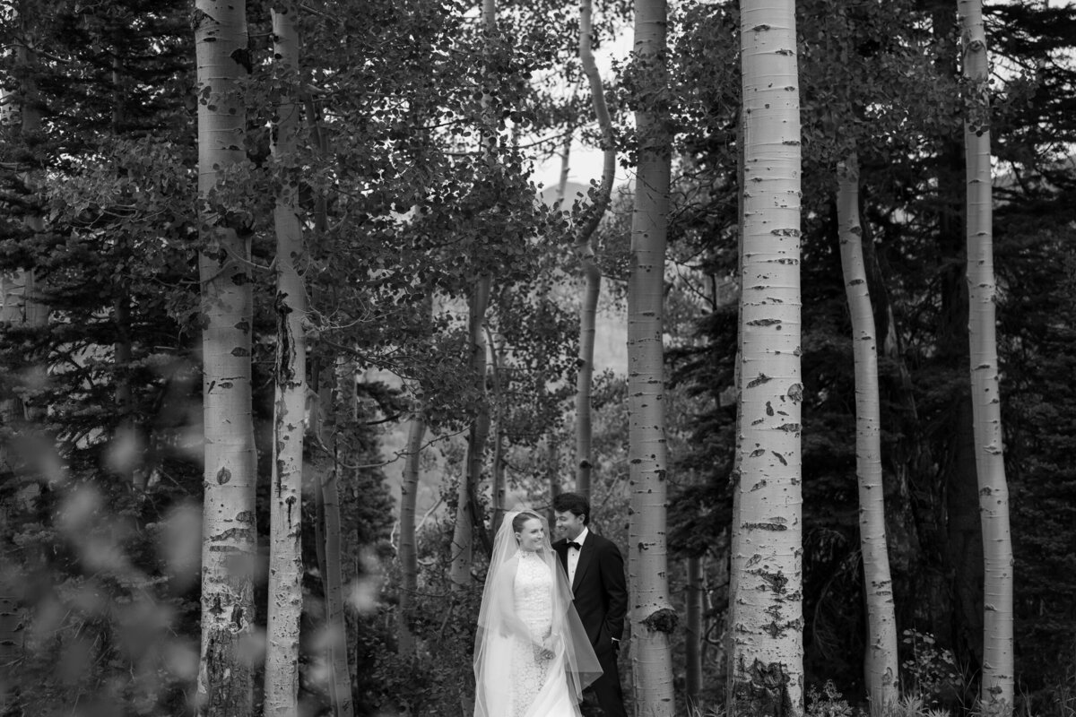 tellurdie wedding san sophia carter rose-0026