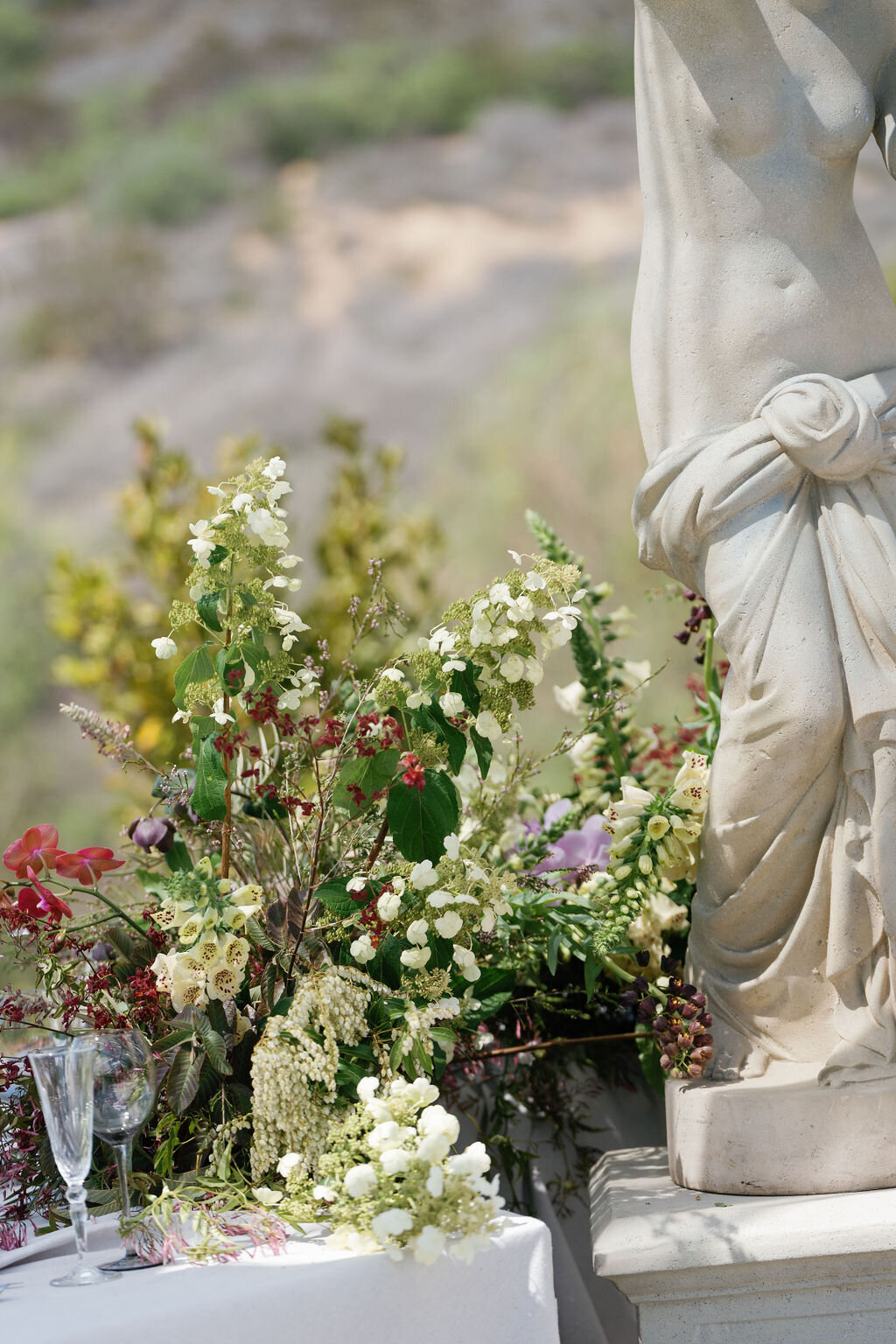 JeunePerchephotos-174