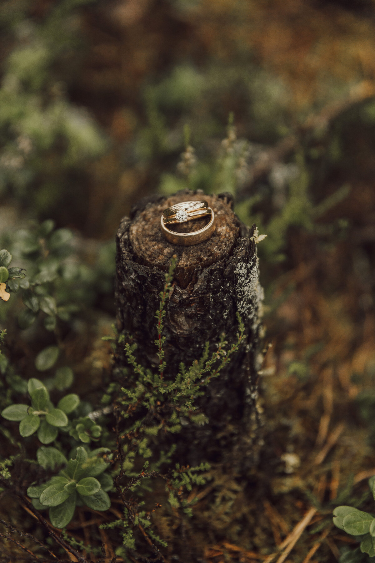 Anna&Mattias138