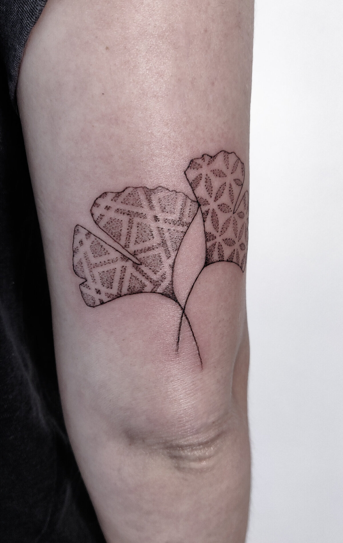 ginkgo leaves tattoo, pattern tattoo