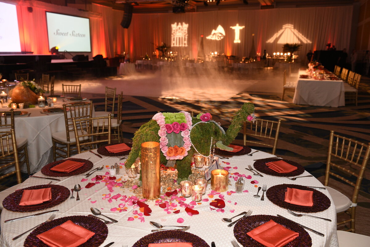 orlando-party-planner-099