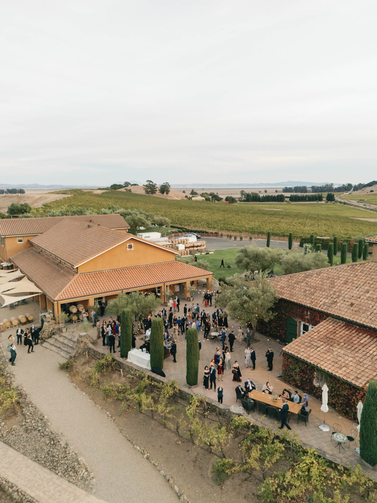 Viansa-Sonoma-Wedding-89