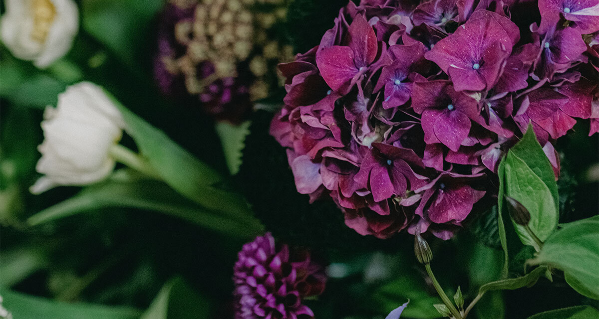Oheka019-H