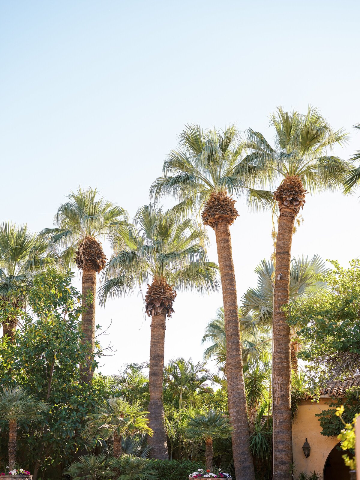 the-royal-palms-resort-arizona-wedding_0491