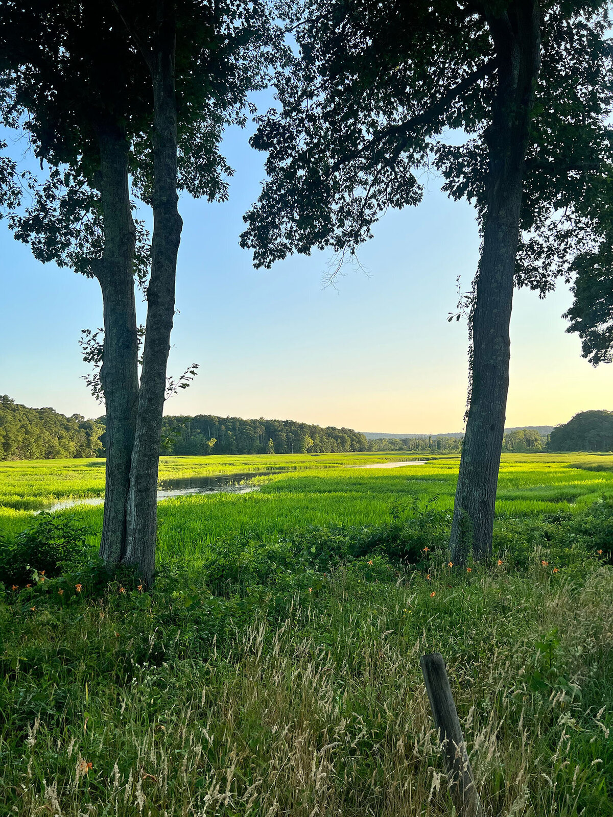 CCC_Estuary_1