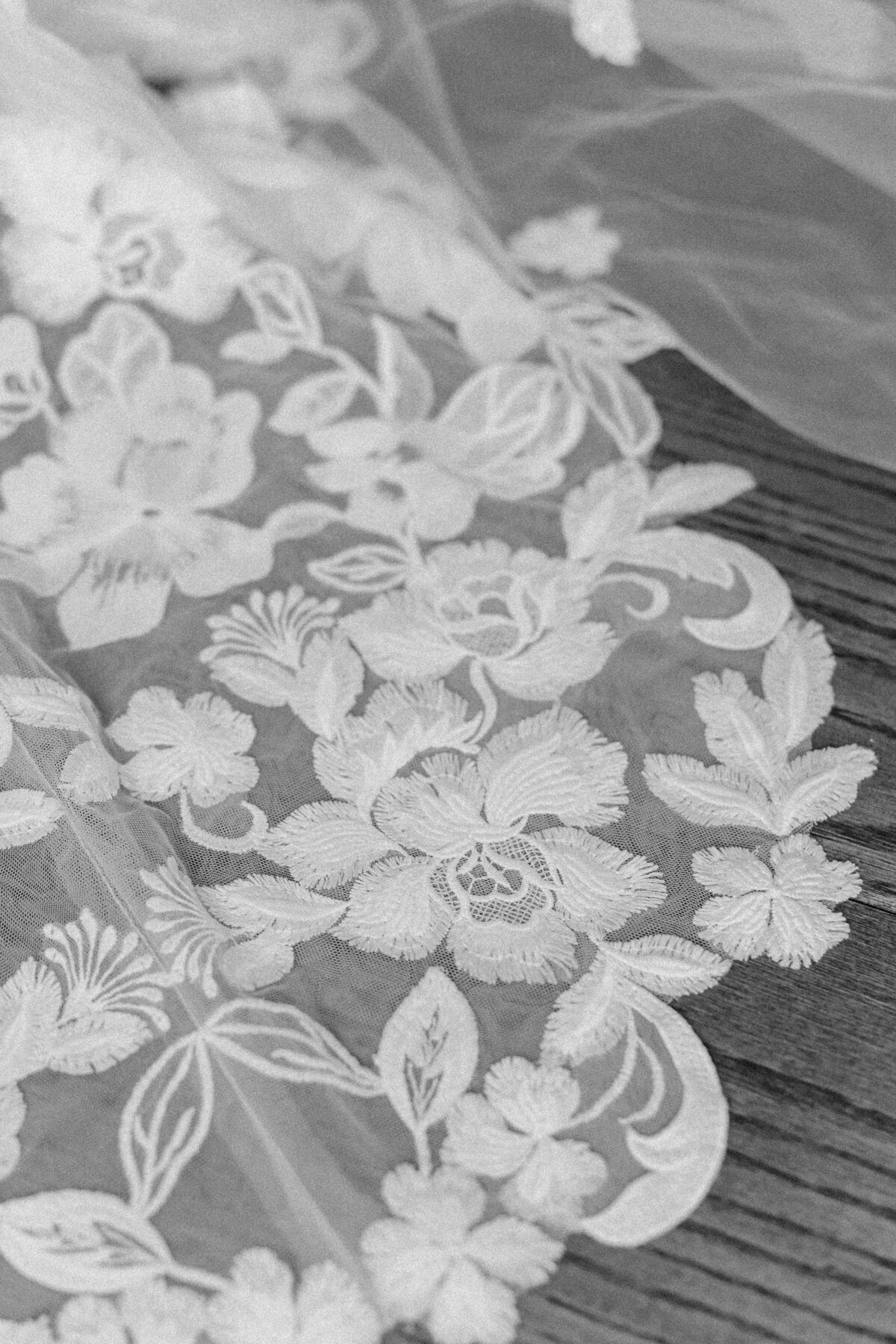 Faith Photography-21