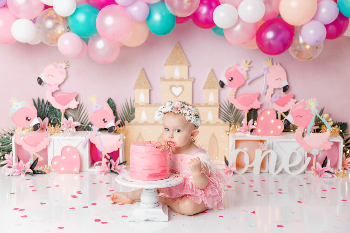 new-jersey-smash-cake-photographer-55