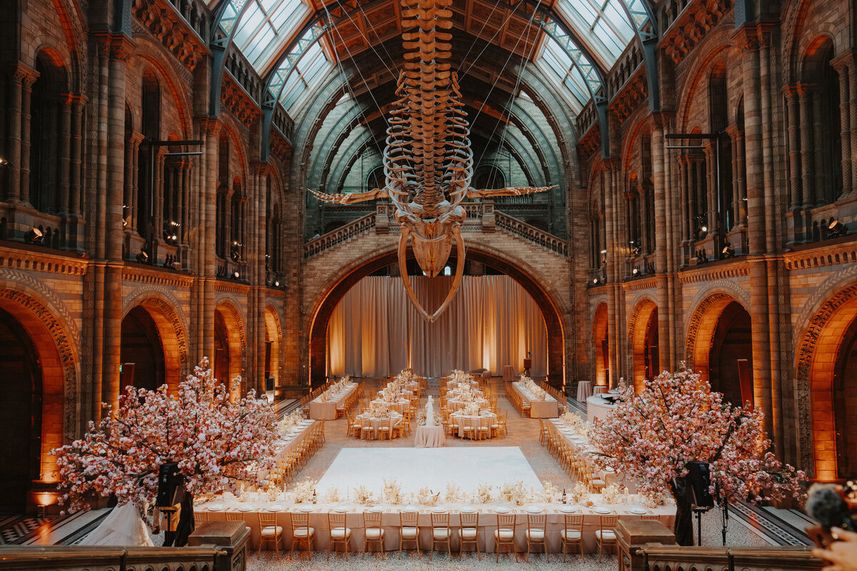 natural-history-museum-wedding-london-48