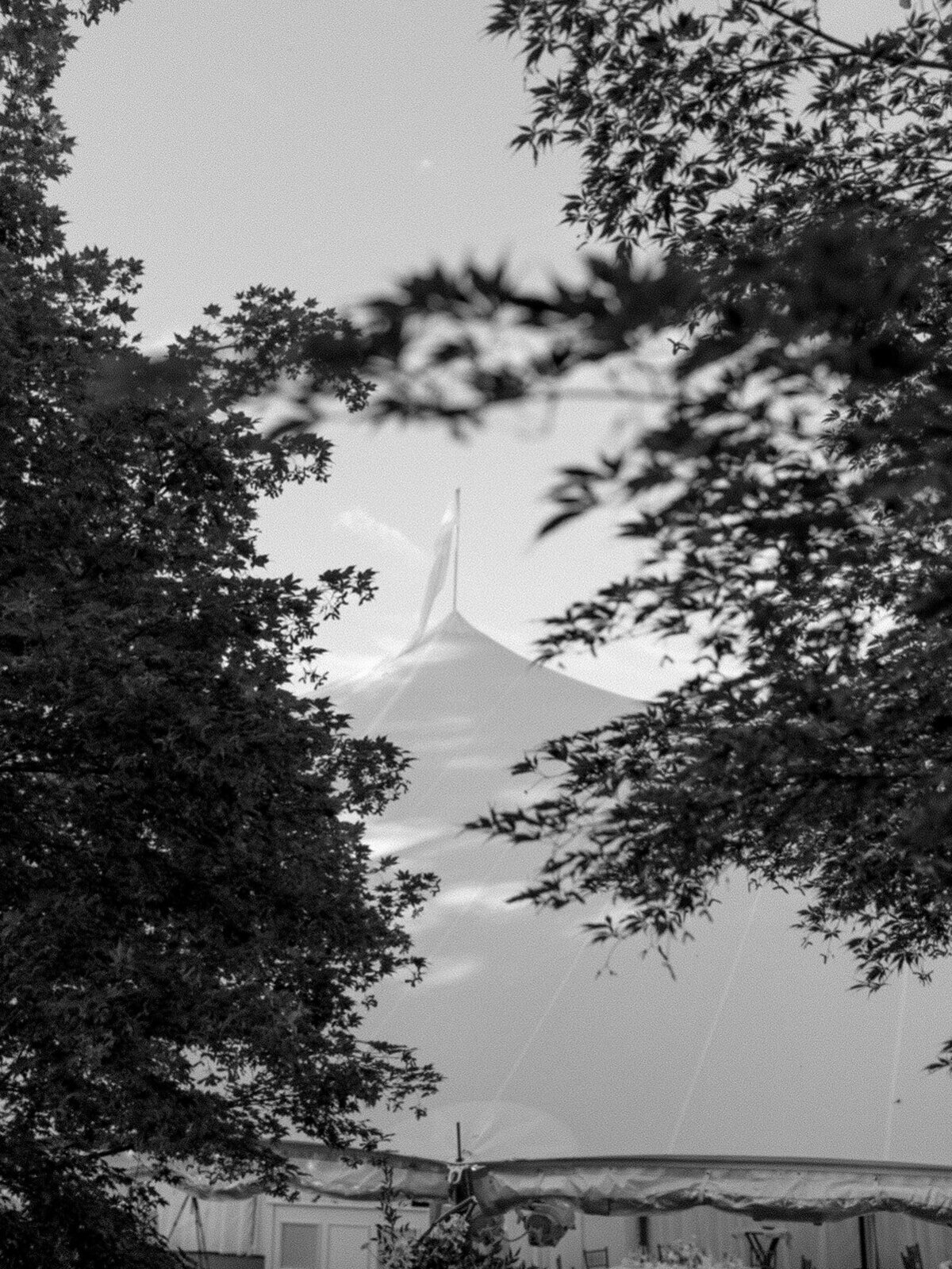 Virginia Wedding Photographer Natalie Jayne Photography-1-13