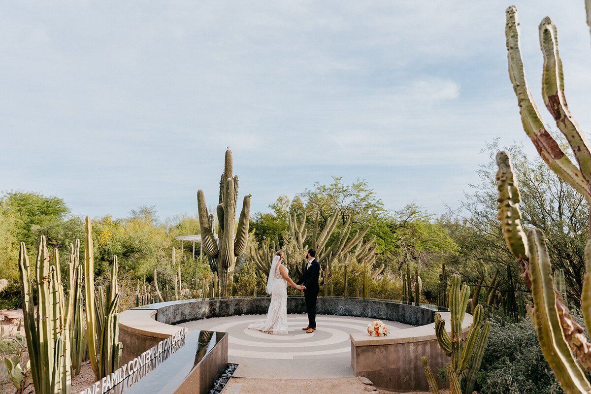 Wedding couple standing in the desert botanical gardens