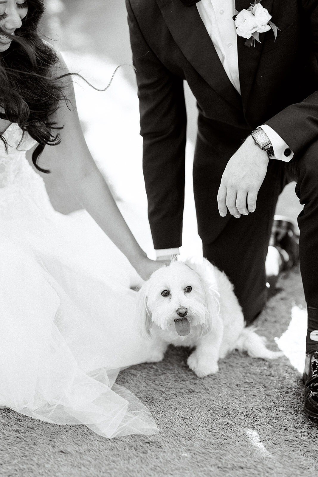 A&H Photo Co. - C&C-78