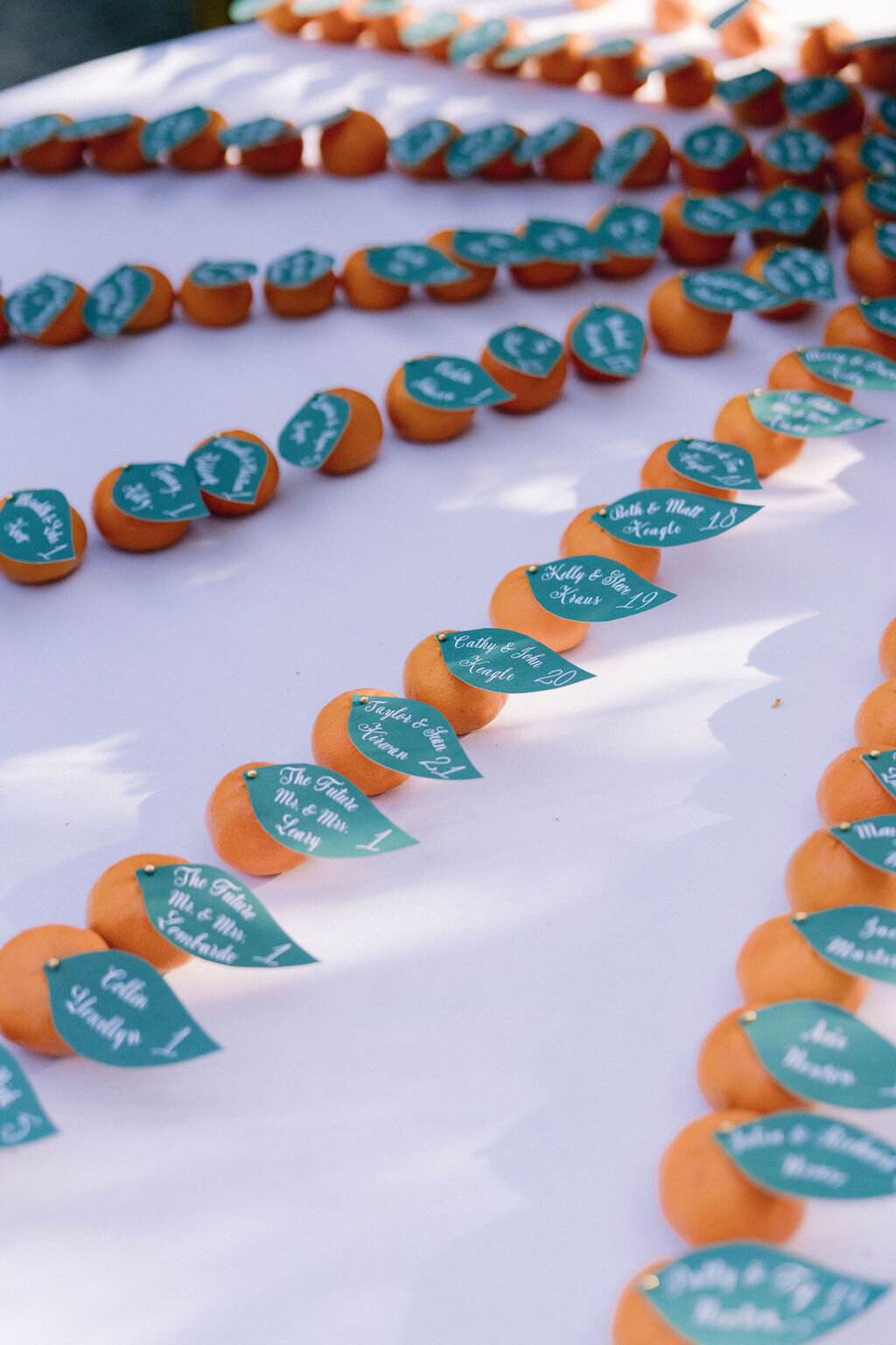 NikkiSanterre_EastCoastLuxuryWeddingPhotographer_CliftonInnWedding_Sky&Ryan-645