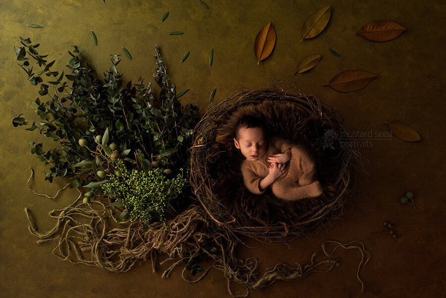 newborn photoshoot in NJ - 20