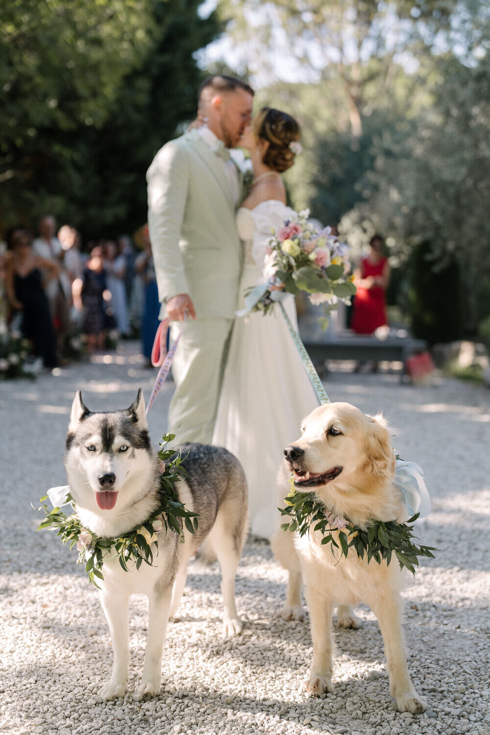 outdoor-wedding-ceremony-with-dog