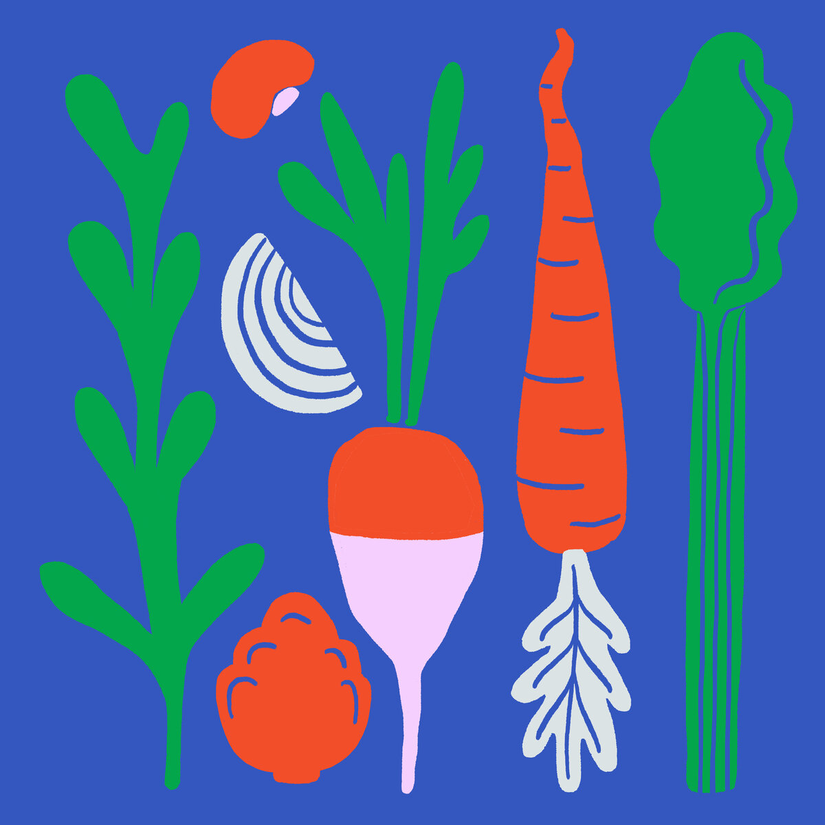 zw_2024_VeggieMedly