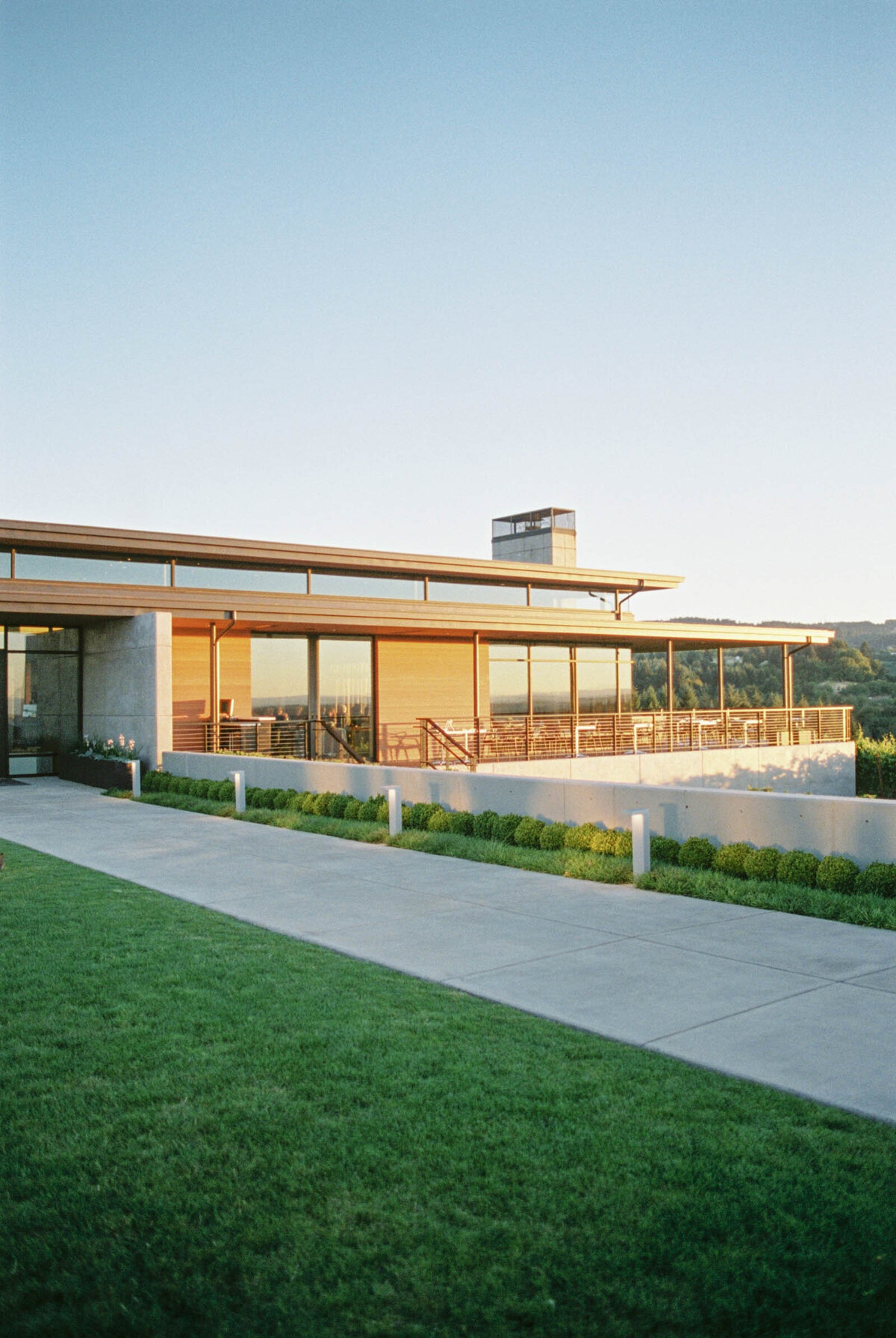 ponzi vineyard winery at sunset