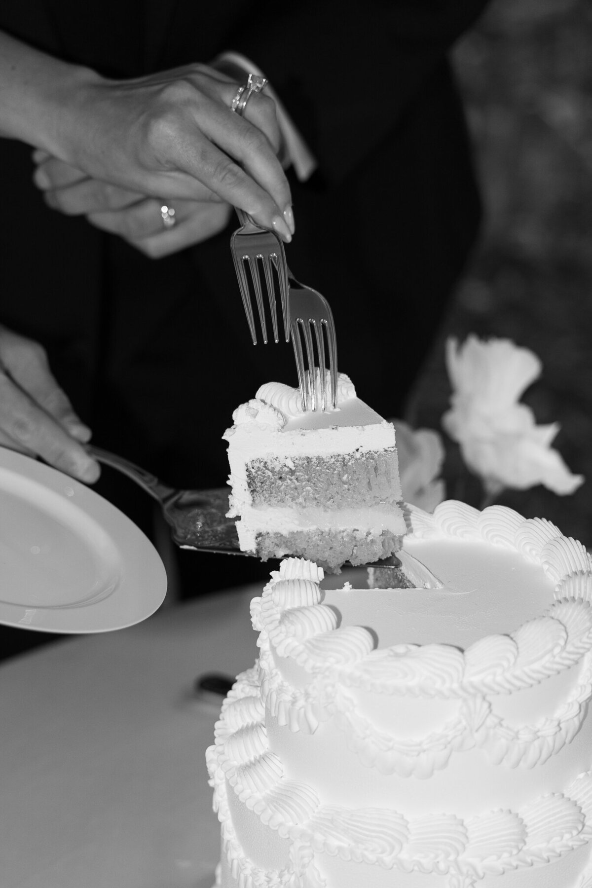 RevelWoodsPhoto-JensenPreviews-6579