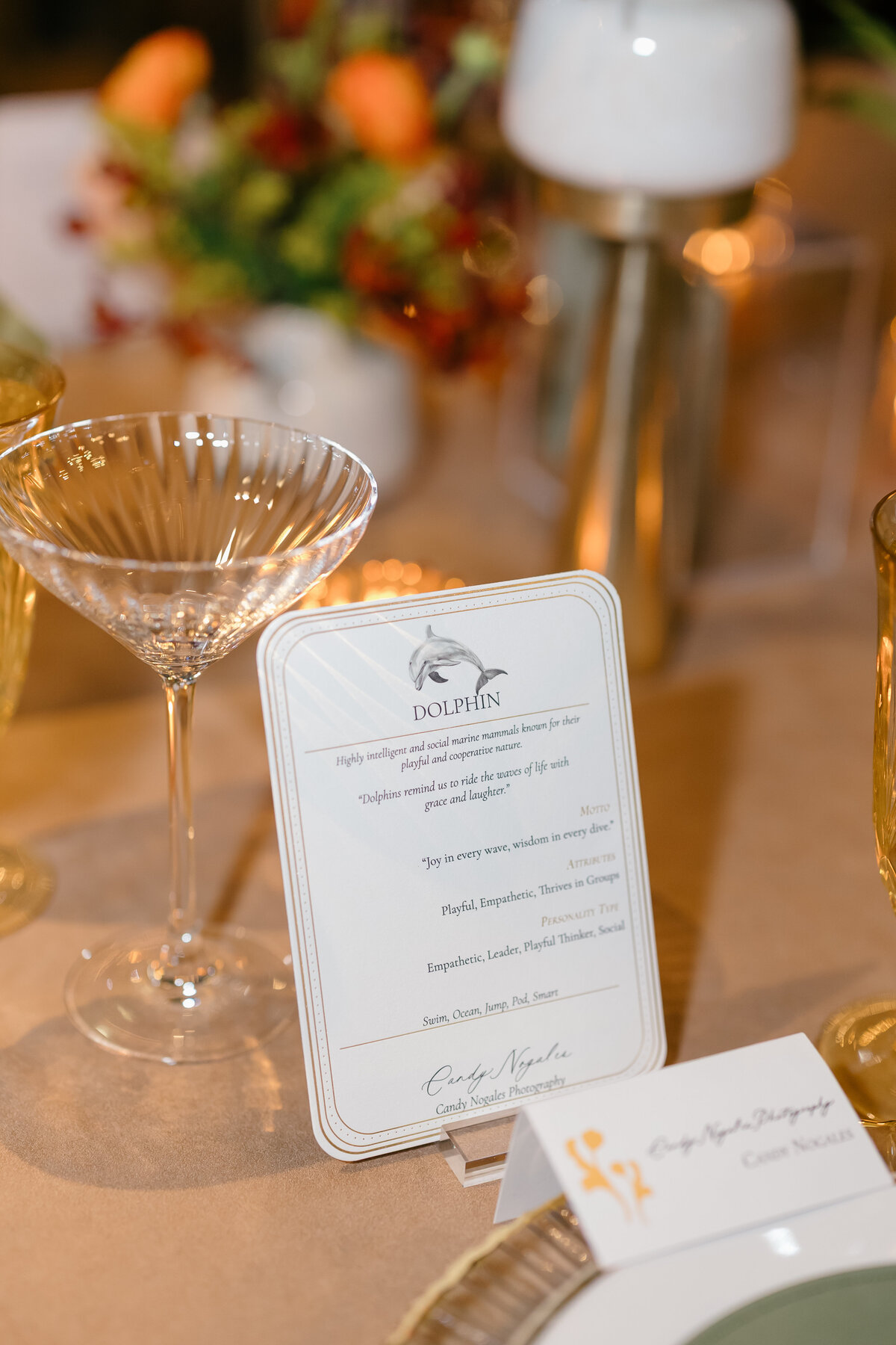 Dine+Parlare-086