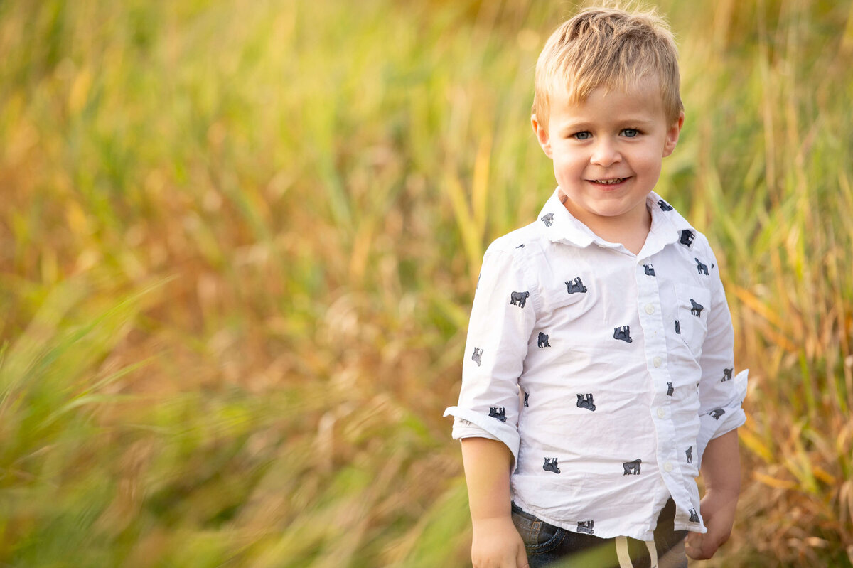 Ottawa family photography showing a young boy in a grassy field at sunset golden hour