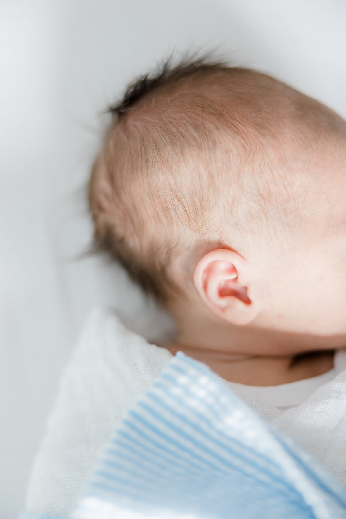 close up photo of newborn's ear