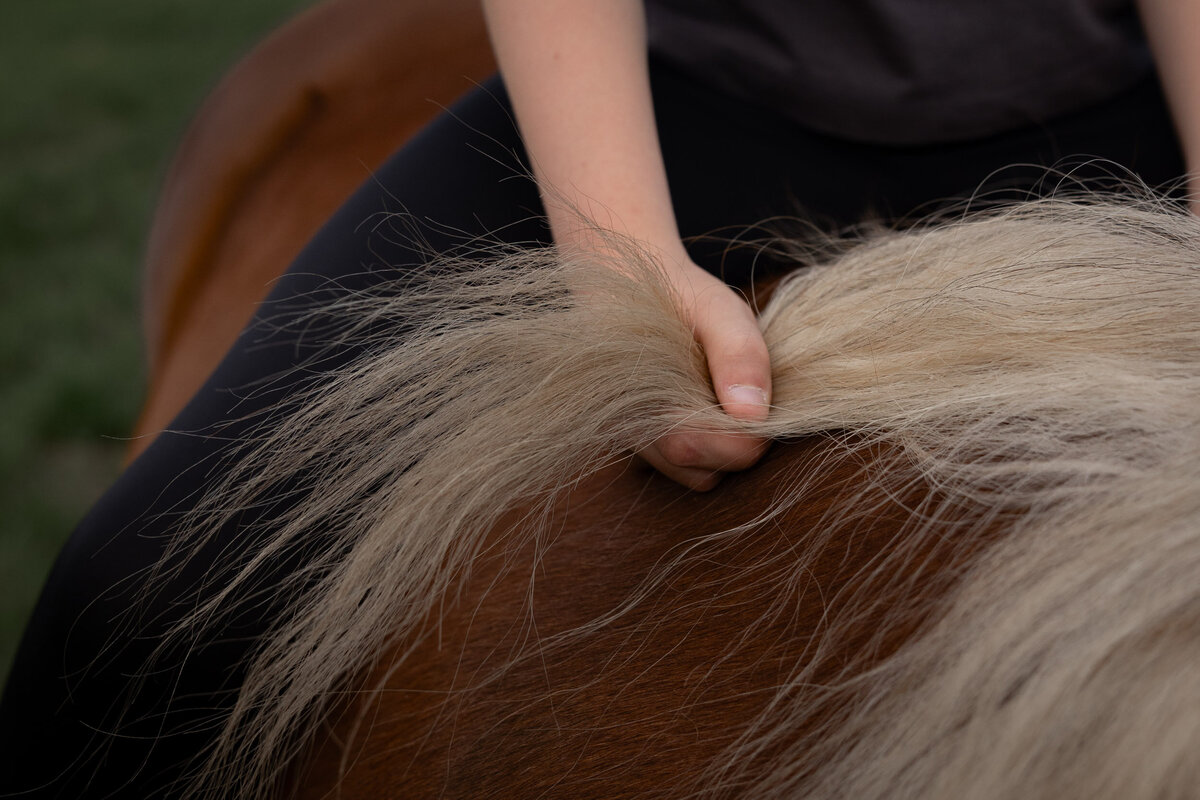 Coaching met paarden voor kinderen en hun ouders.
