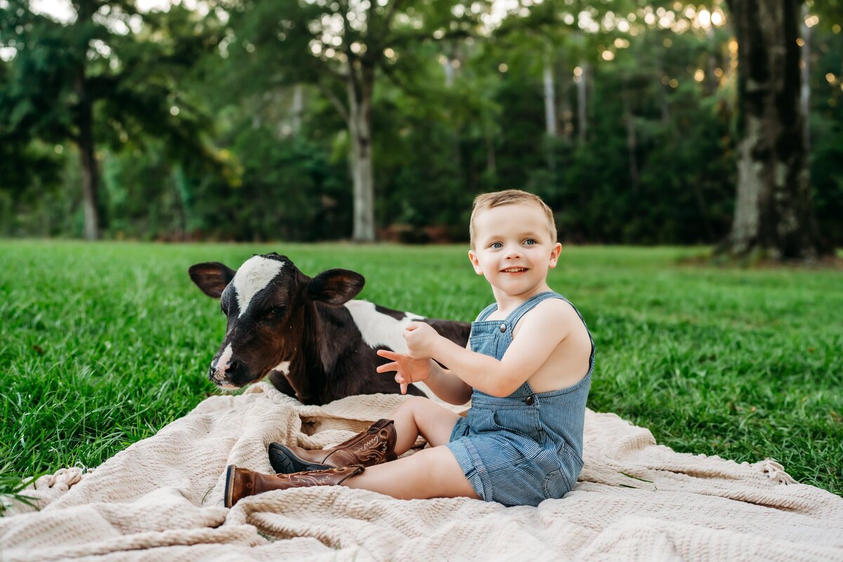 Lake and Cow