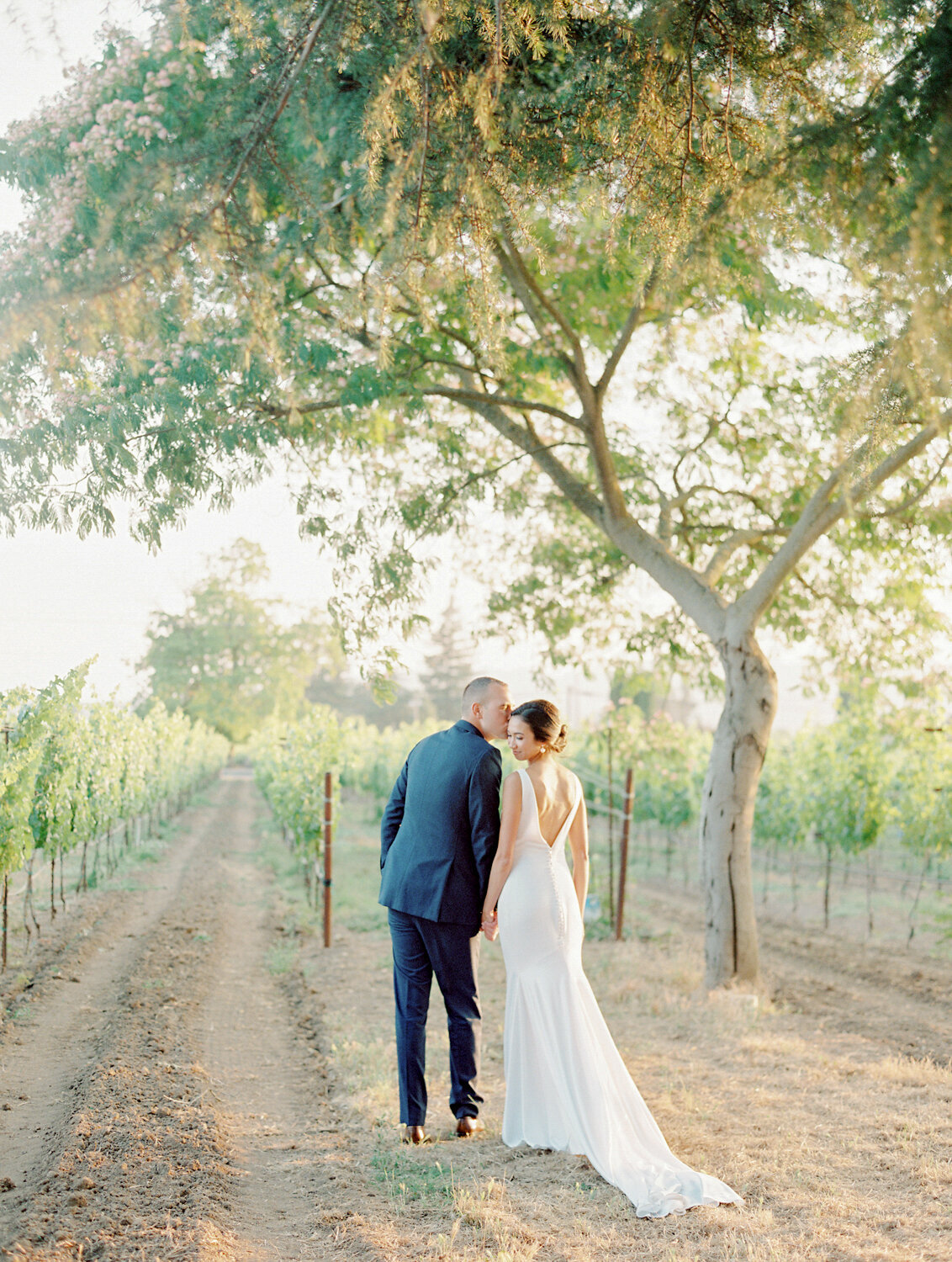 A couple sharing a passionate kiss among the lush vineyards of Napa Valley on their wedding day. Surrounded by the rolling hills and rows of grapevines, this intimate moment captures the love and beauty of their celebration in carmel