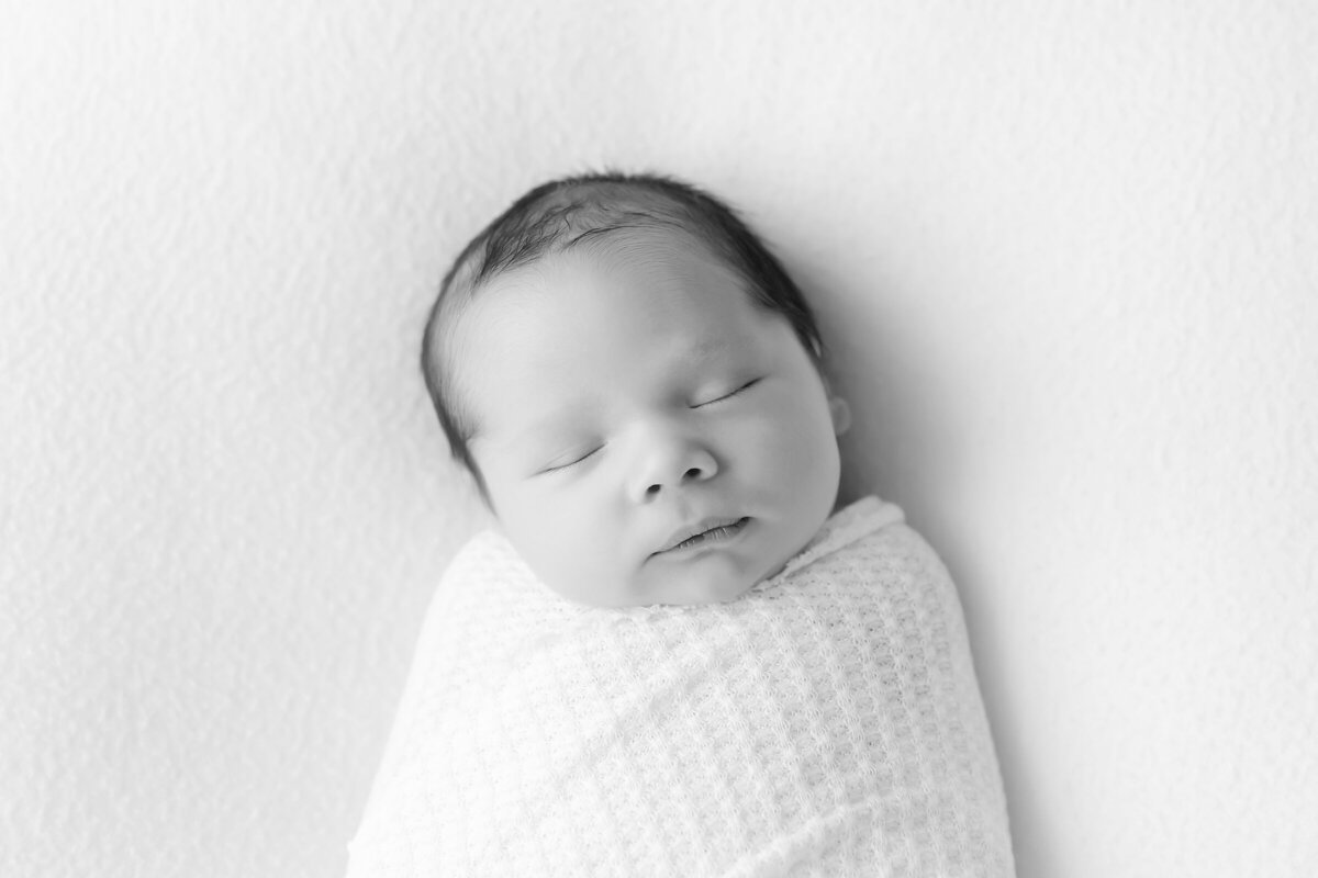 Raleigh-Newborn-Photographer 188