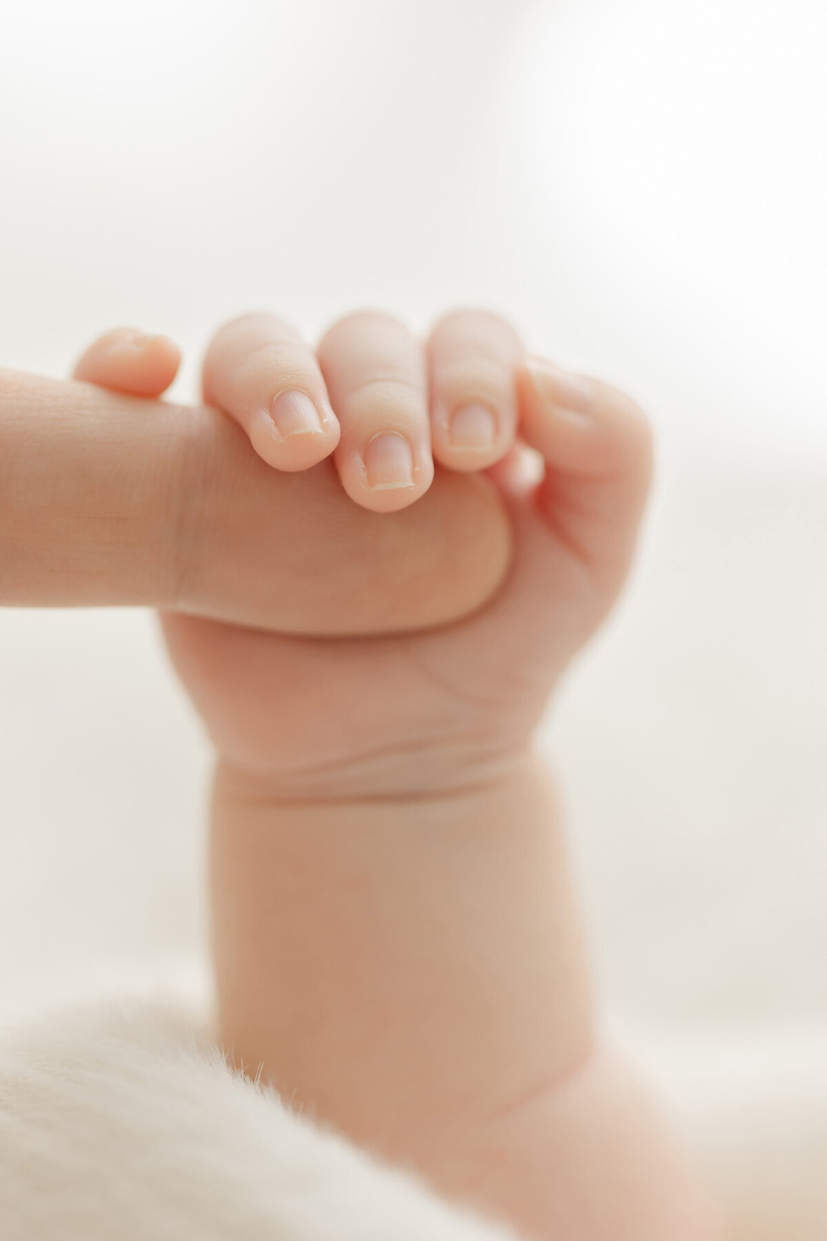 Raleigh-Newborn-Photography 014