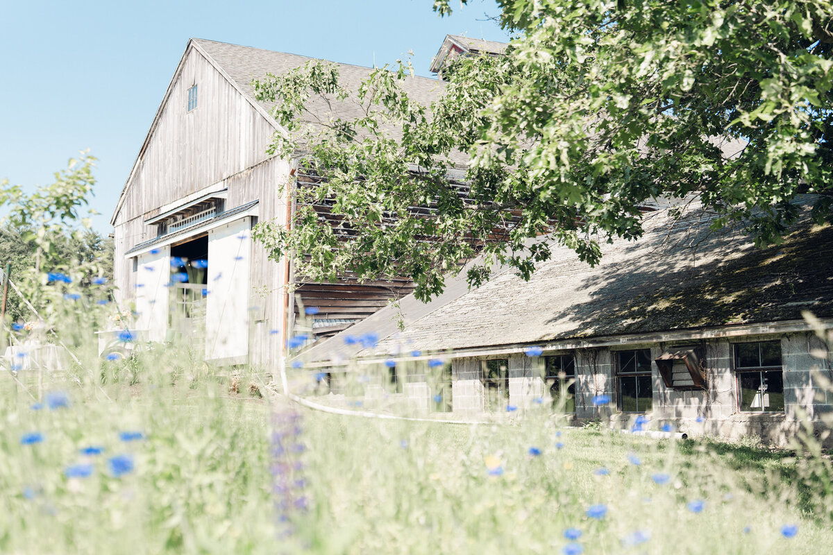 deere-creek-farm-wedding-granby-ma-2