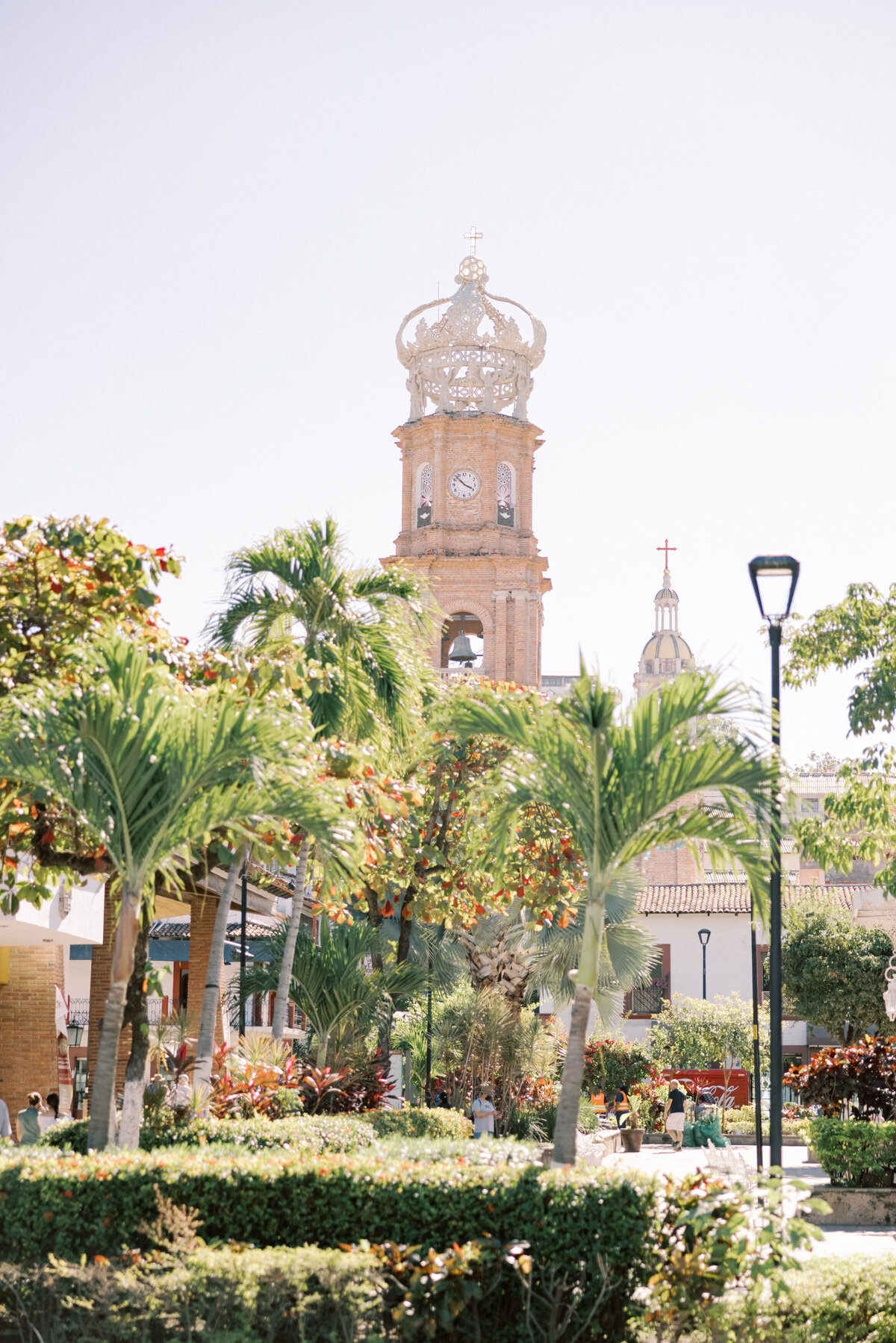 las-caletas-puerto-vallarta-wedding-photographer-2586