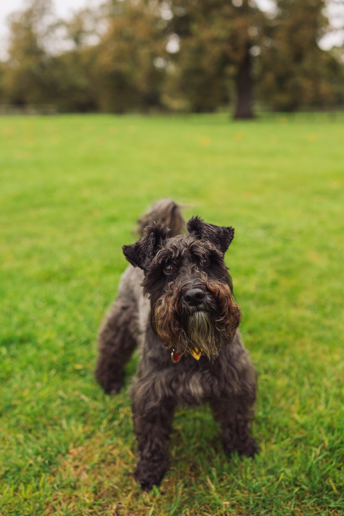 Betty (4)