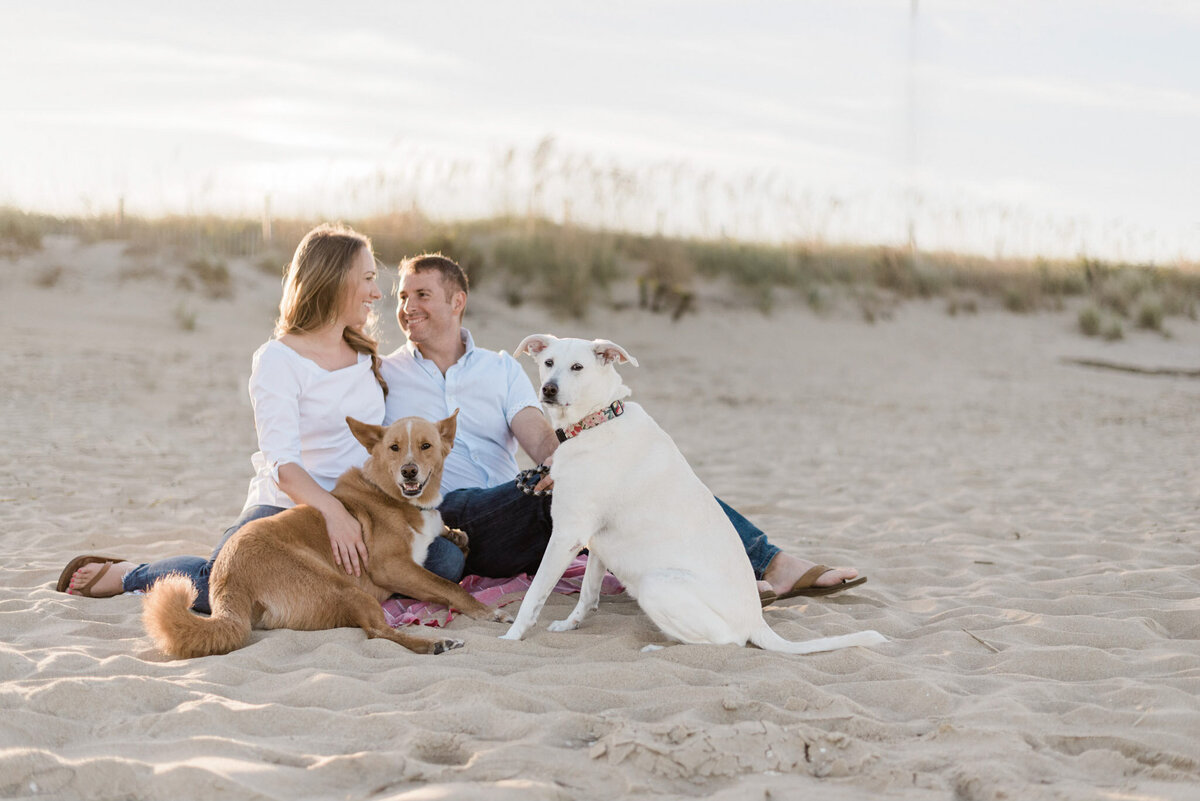 couple at beach with dogs