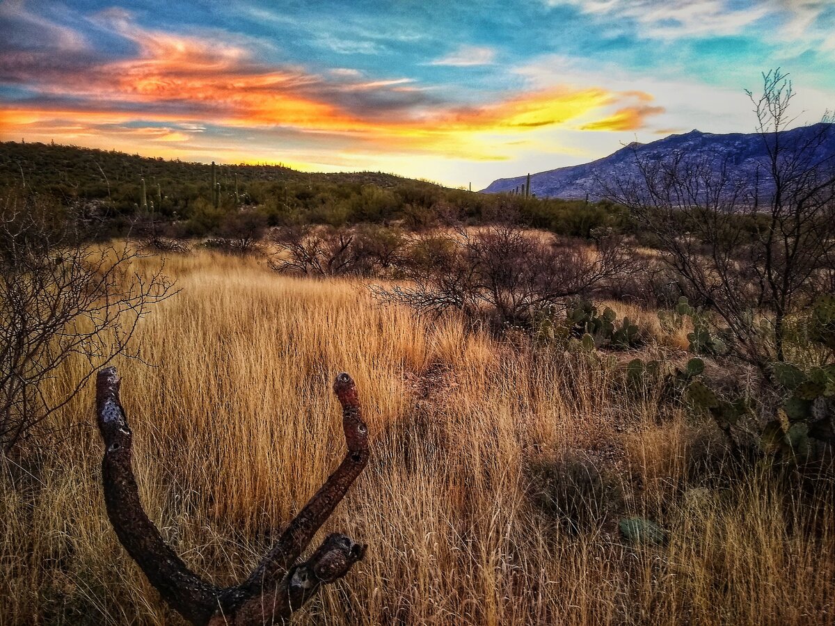 WP N end Catalinas sunrise_edited