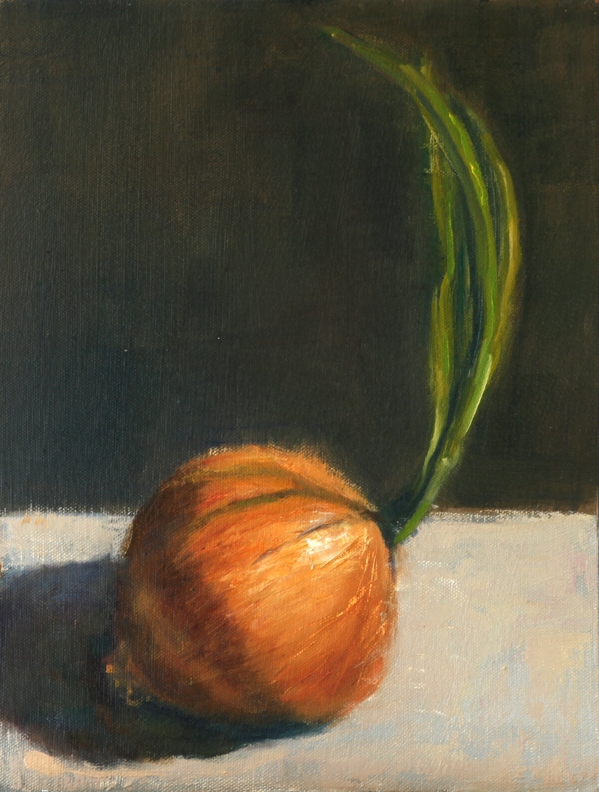 Onion_still_life