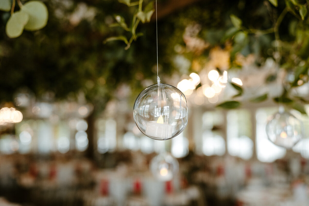 curiouscourtneysphotography119