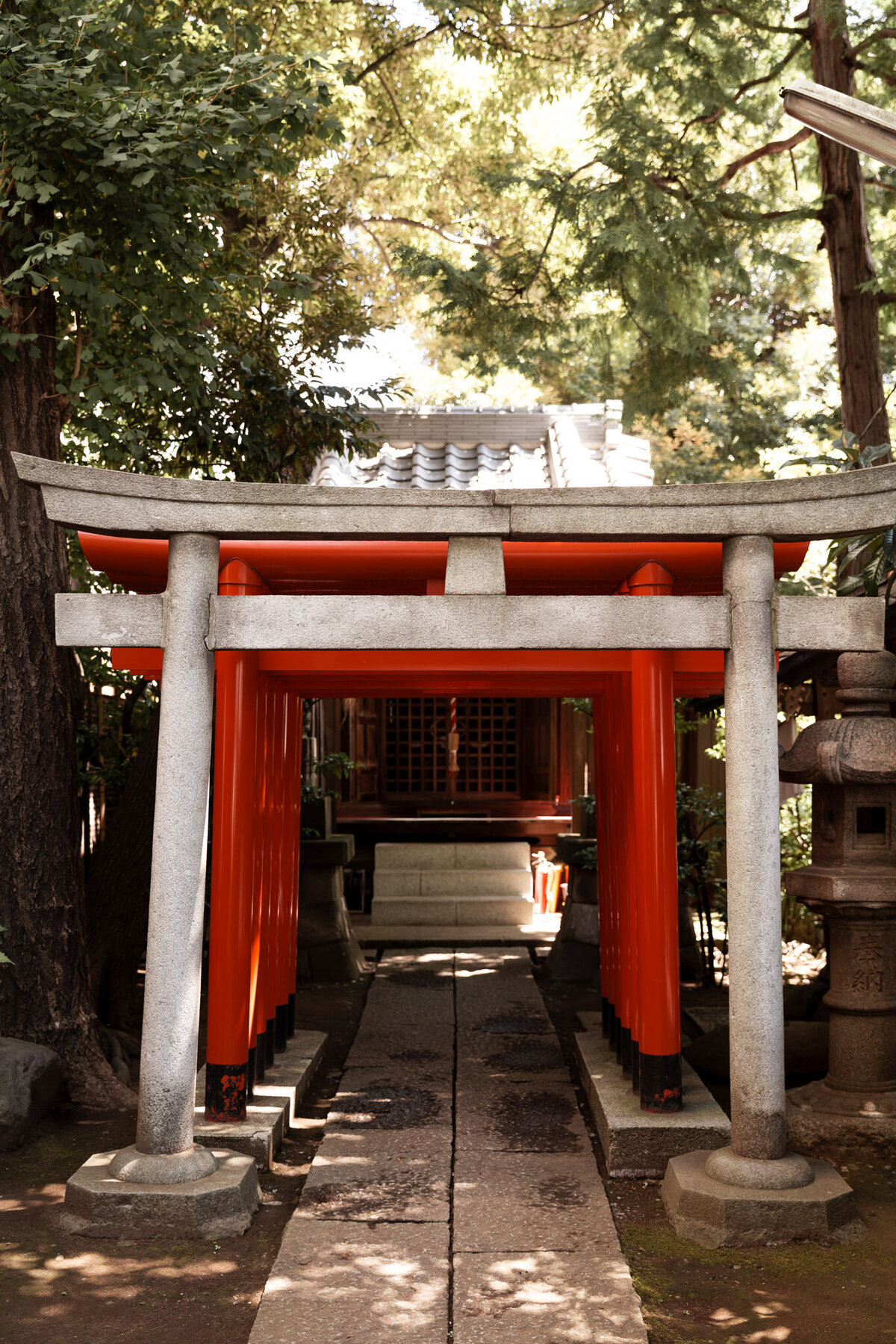 Japan for Website-15