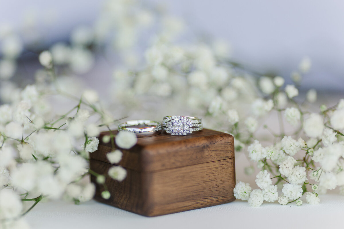 Carol Selvy Photography-3527