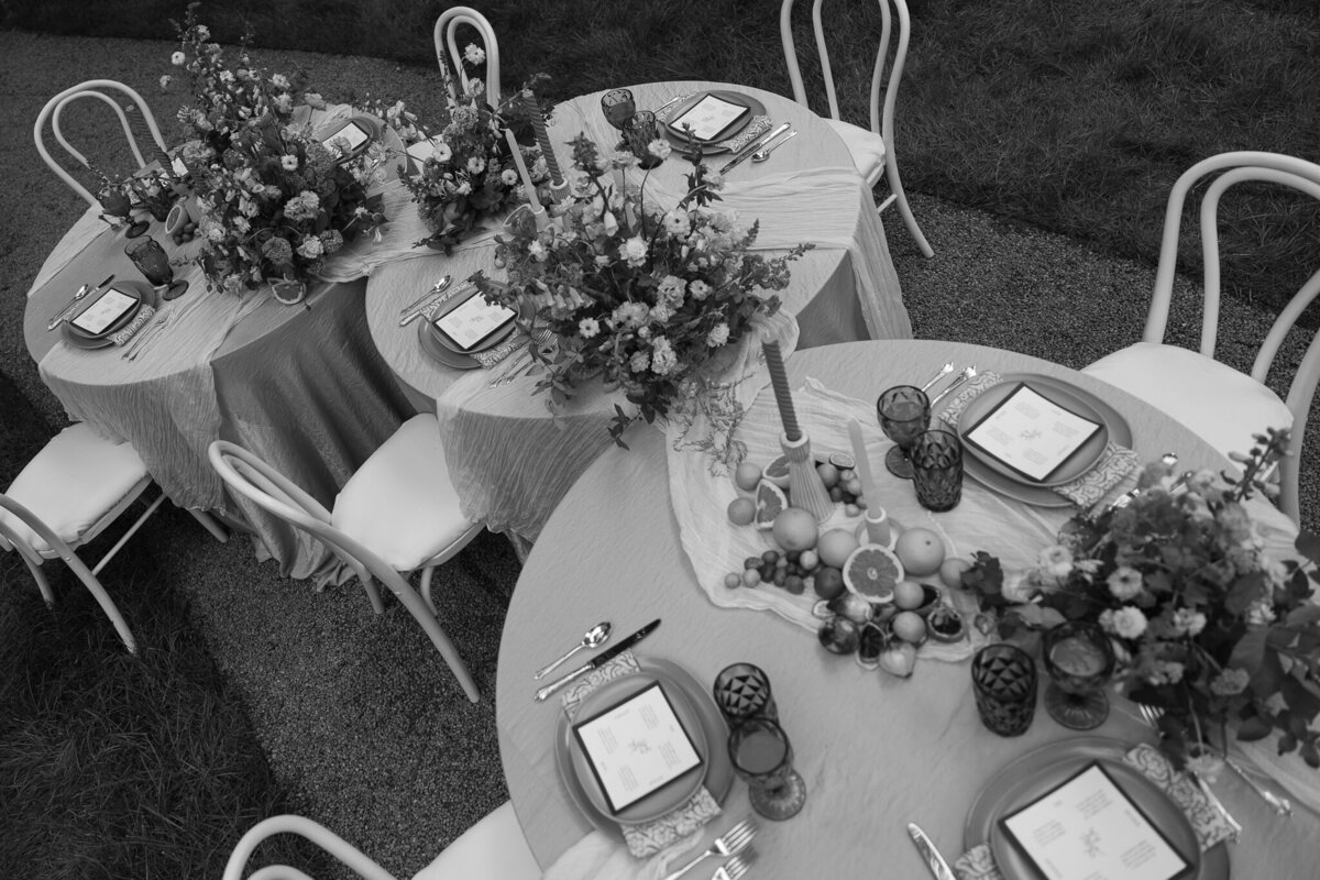 RevelWoodsPhoto-swanhouse-8346-3