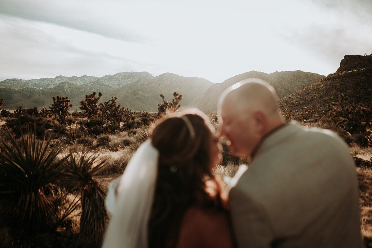 ZettelPhotography-5972